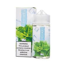 Skwezed Mint Ice 100 ml